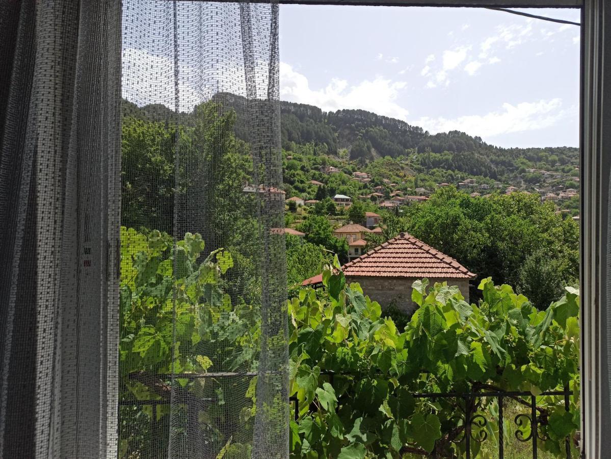 Elli΄S House Συγχρονο Σπιτι Στα Πραμαντα Βίλα Πράμαντα Εξωτερικό φωτογραφία